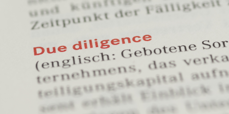 Financial and Tax Due Diligence: Case Studies